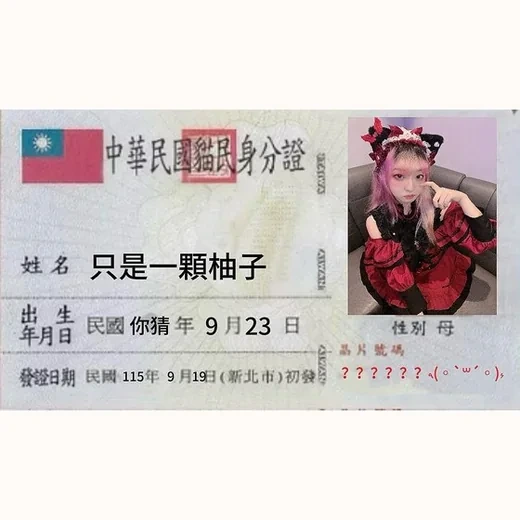 寵物悠遊卡與合照豪華拍